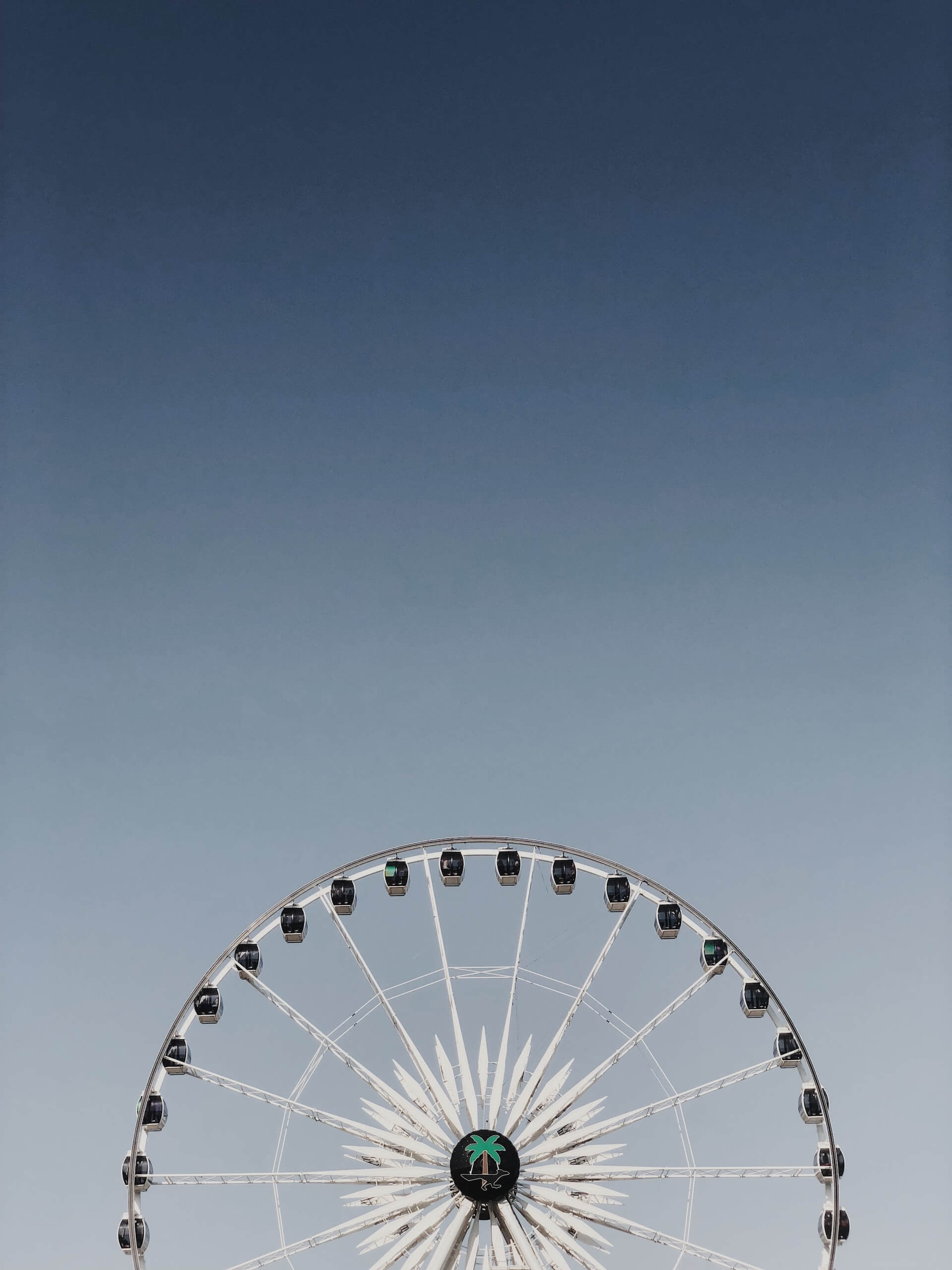 Ferris wheel at coachella.